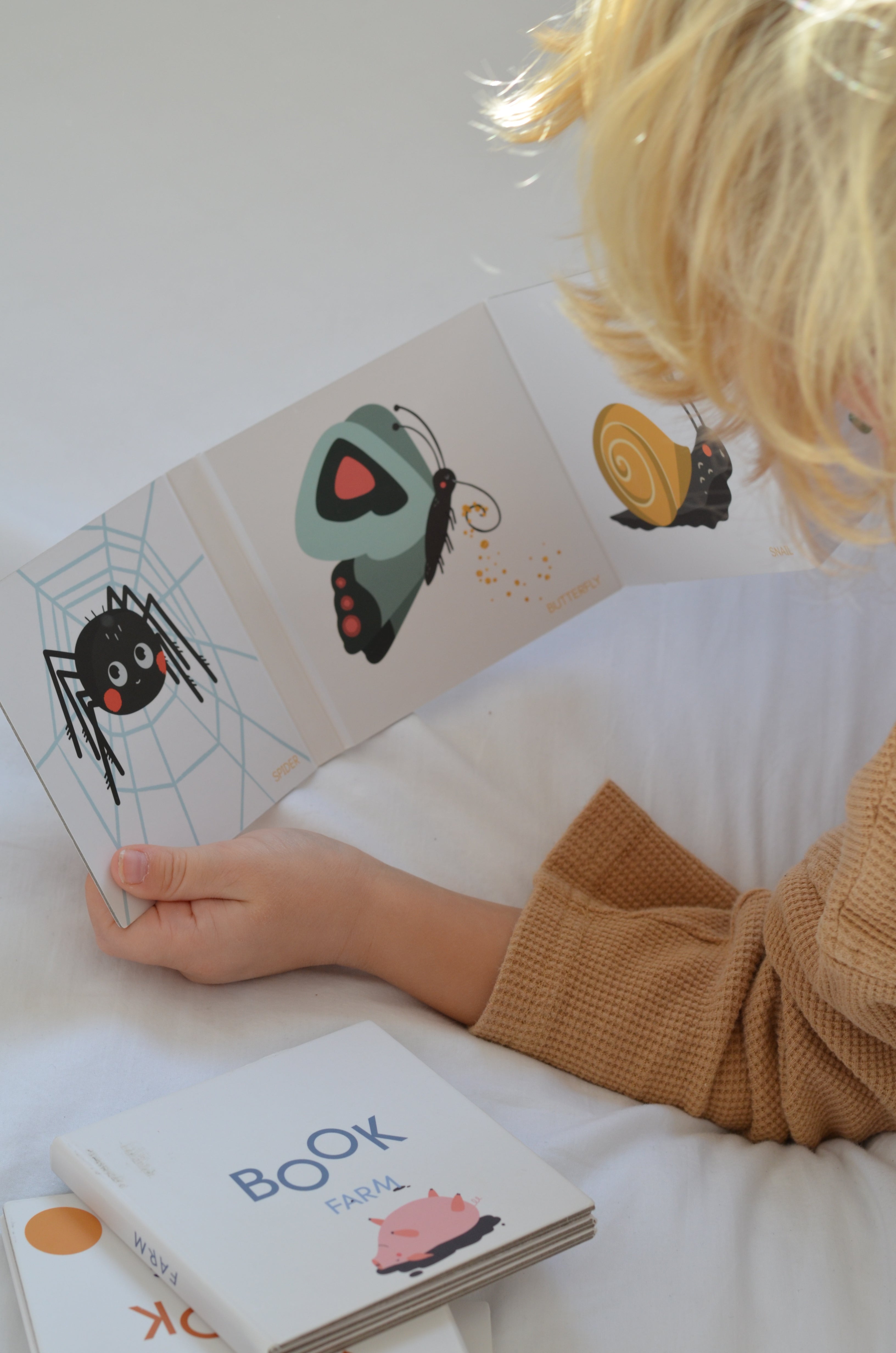 Leporello Zwierzęta gospodarskie