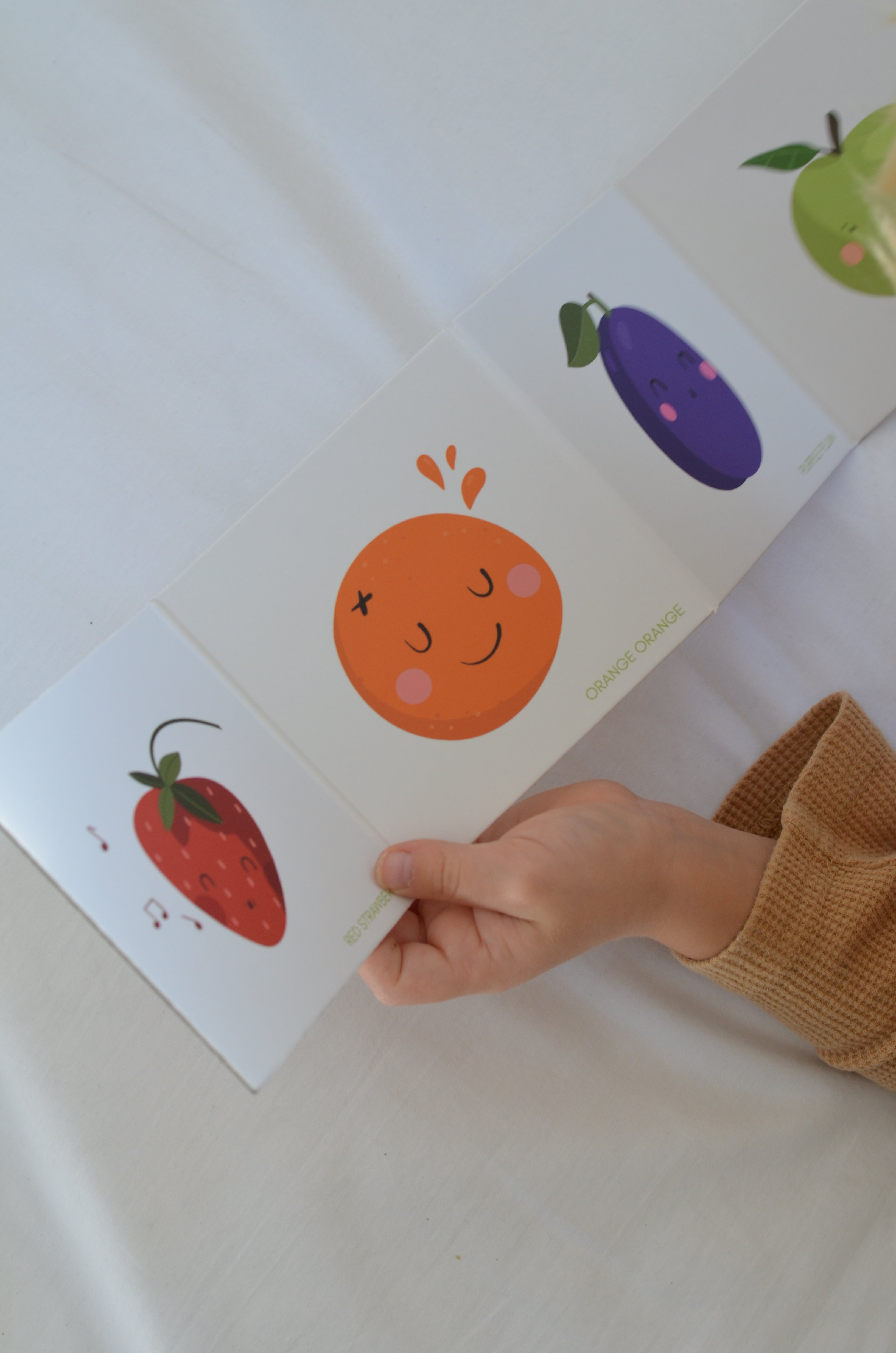 Leporello Owoce i kolory