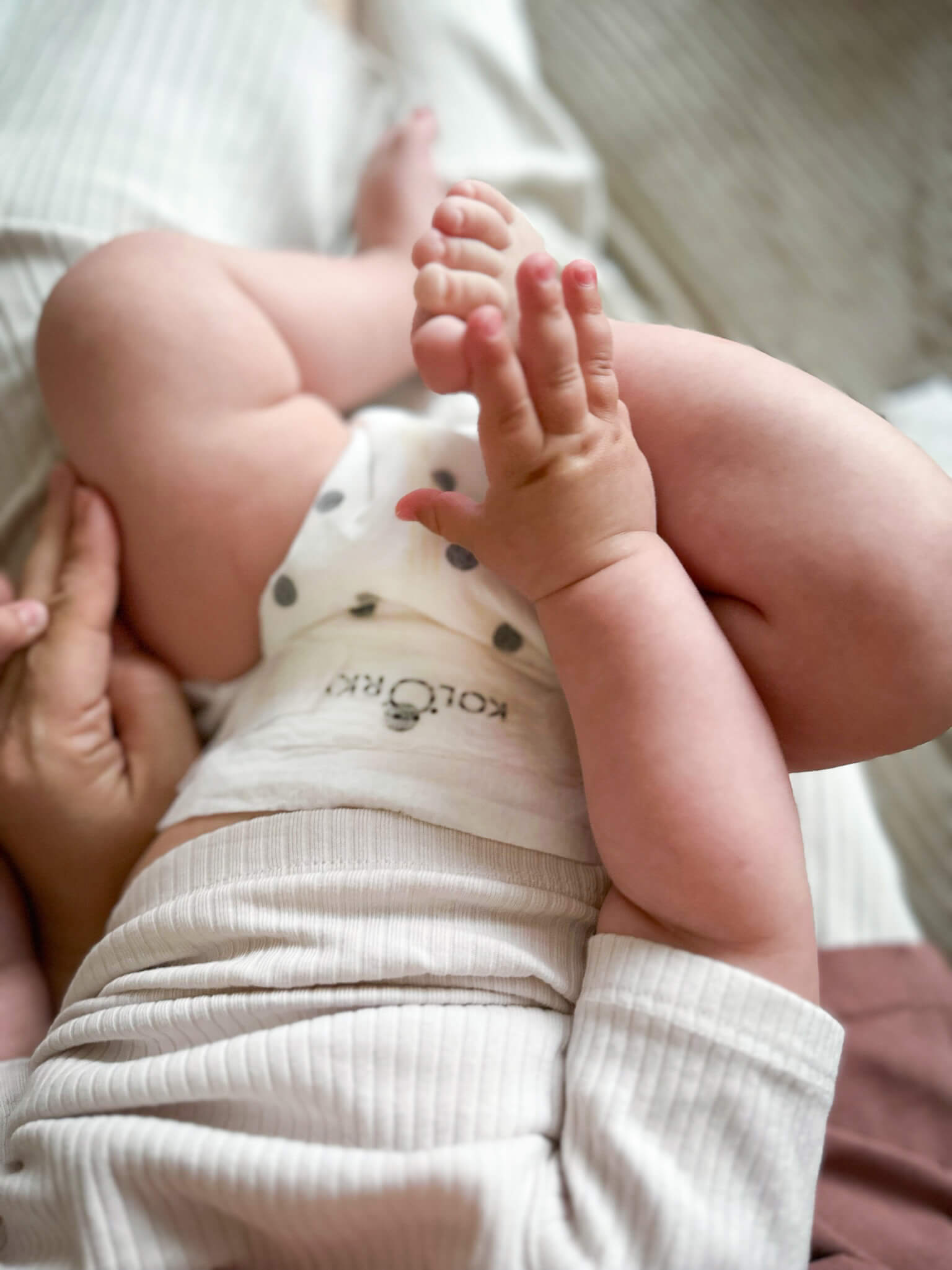 DELUXE VELVET w kropki