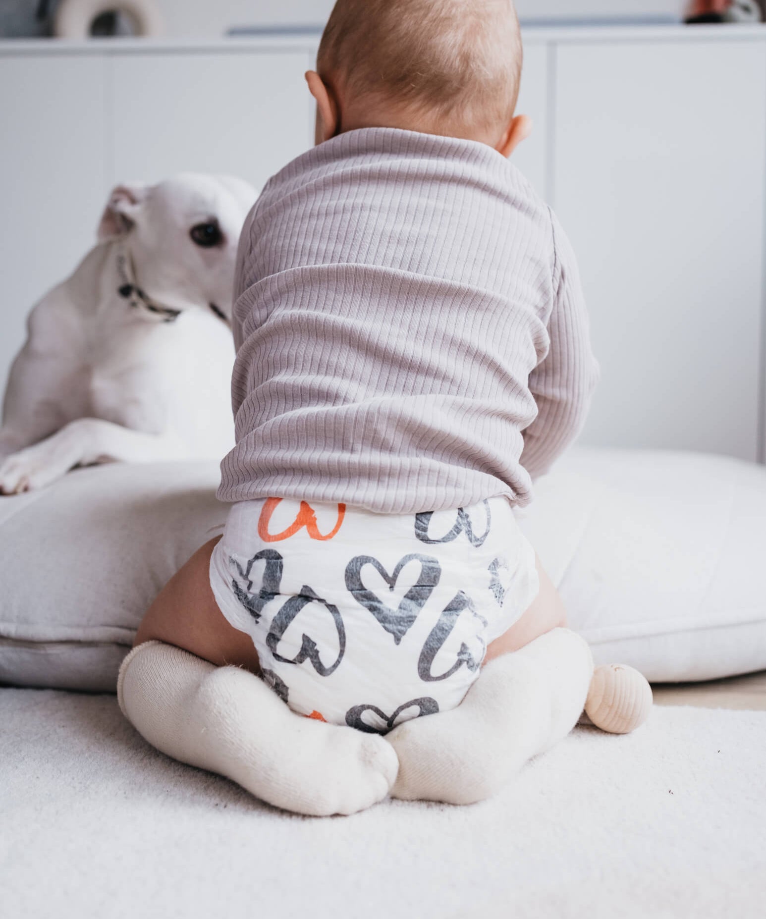 Kolorky Heart 00017 HP PP